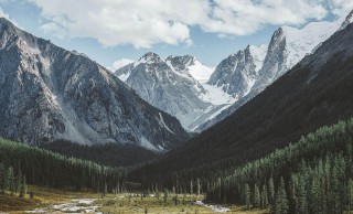 揭秘糖心Vlog新官方入口的秘密：评论区的热度与细节解析